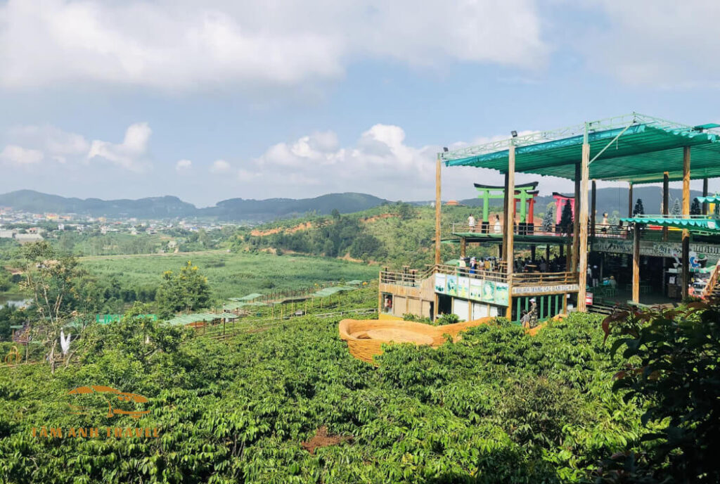 Review Mê Linh Coffee Garden ngắm cảnh đẹp Đà Lạt