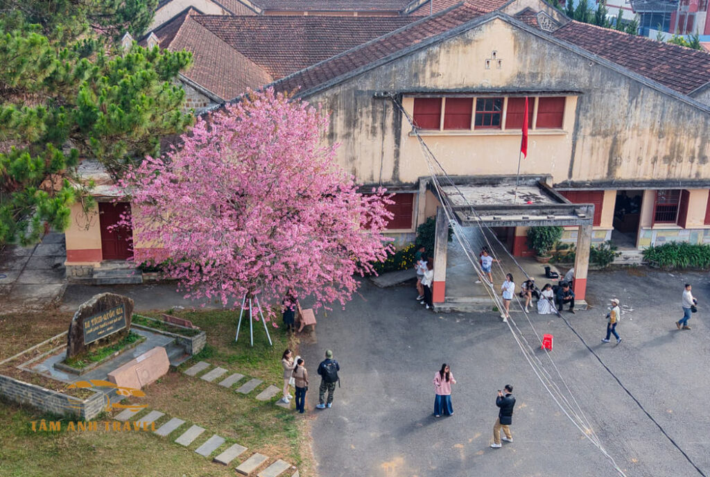 Tham quan Nhà lao thiếu nhi Đà Lạt di tích quốc gia