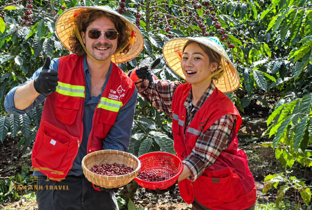 Đến Tám Trình Coffee thưởng thức cà phê và buffet chay