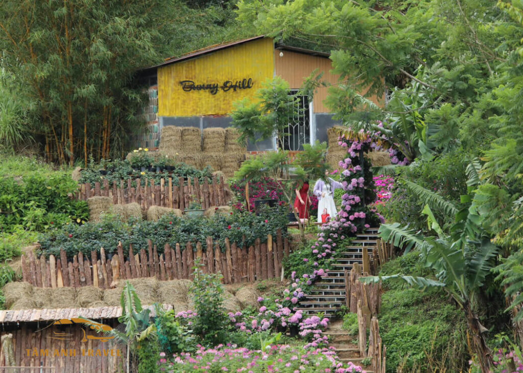 Khám phá Đà Lạt Bunny Hill với ngôi nhà hoa cẩm tú cầu