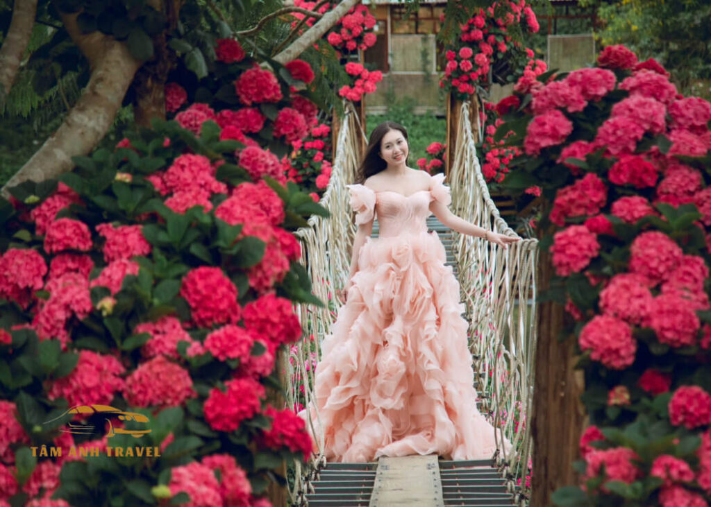 Khám phá Đà Lạt Bunny Hill với ngôi nhà hoa cẩm tú cầu