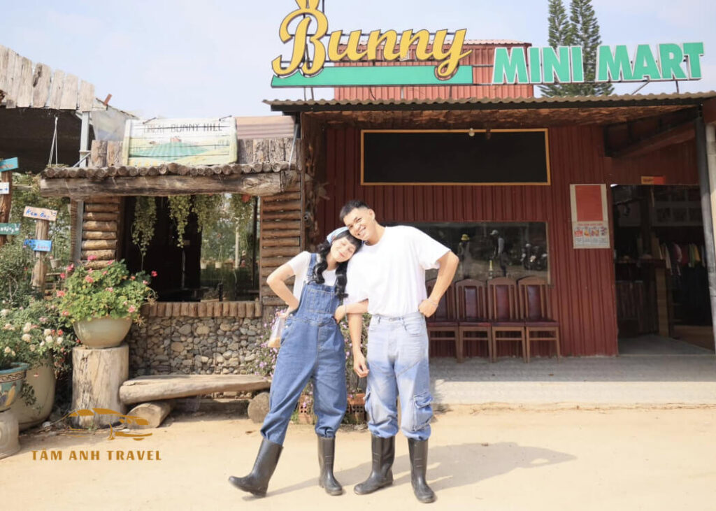 Khám phá Đà Lạt Bunny Hill với ngôi nhà hoa cẩm tú cầu