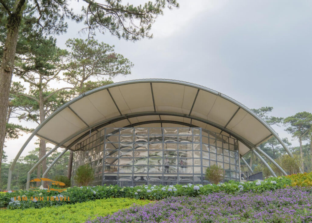 Delight Park Dalat - Công viên hoa & ánh sáng nghệ thuật