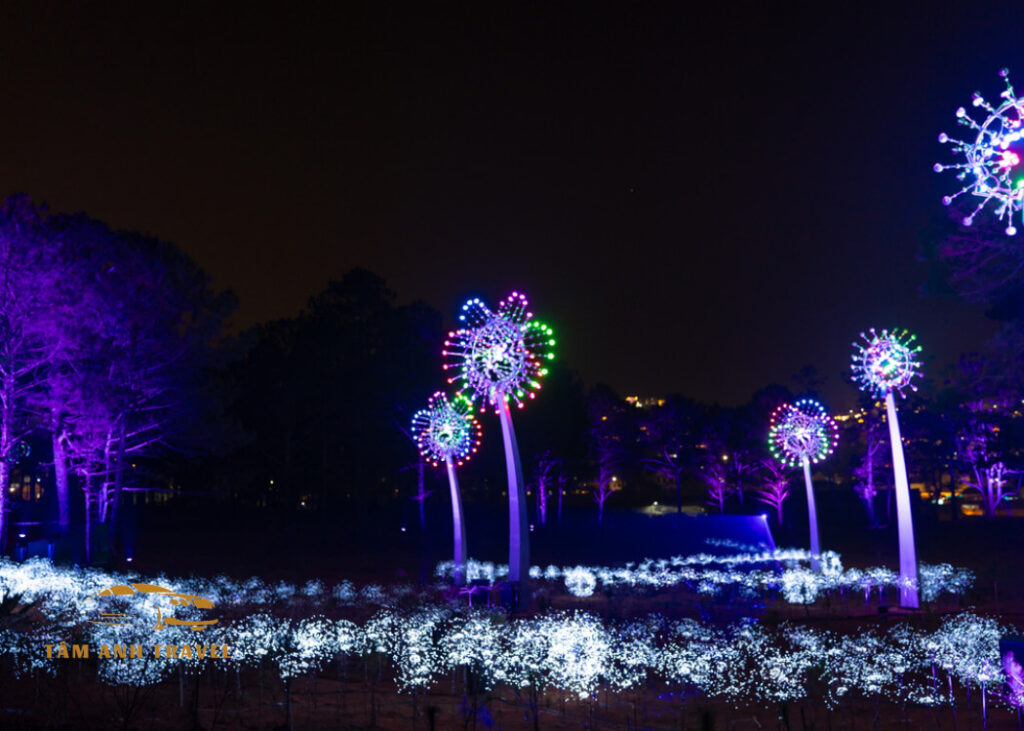 Delight Park Dalat - Công viên hoa & ánh sáng nghệ thuật