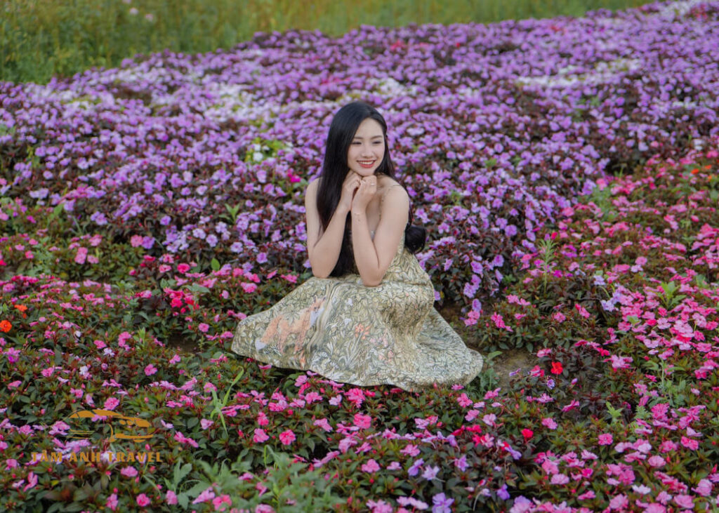 Delight Park Dalat - Công viên hoa & ánh sáng nghệ thuật