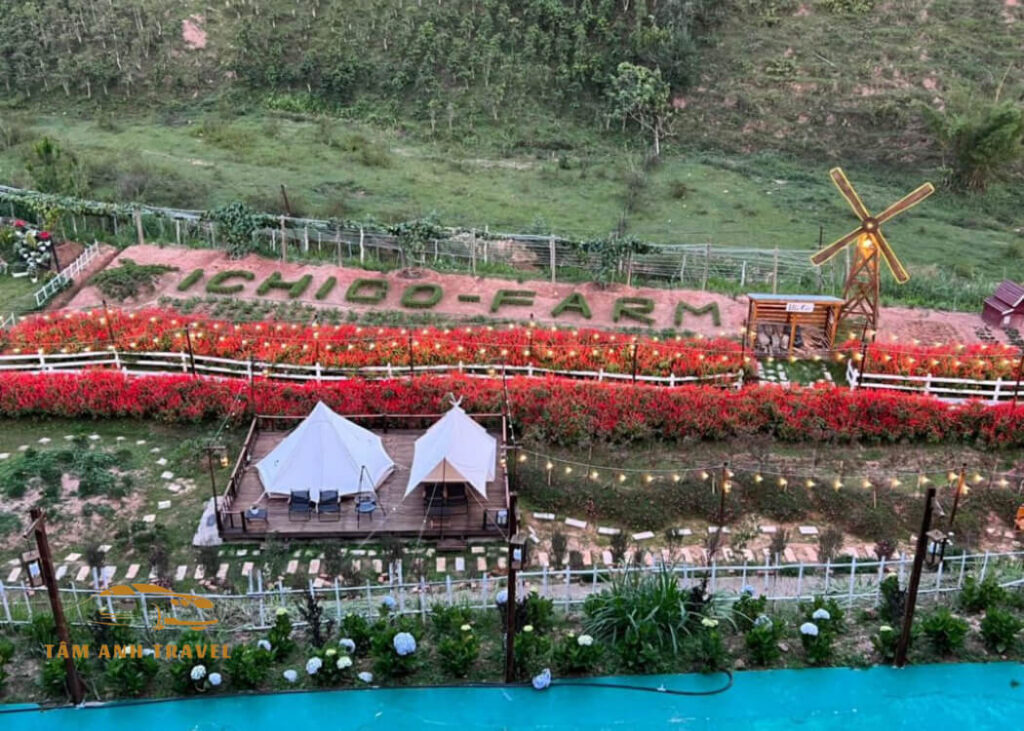 Khám phá 10 nông trại Đà Lạt đưa bạn tìm về chốn bình yên