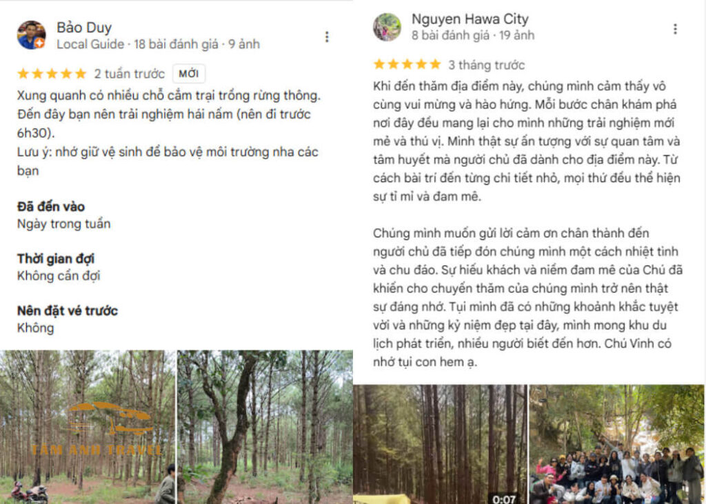 Rừng macca Đà Lạt - Khám phá khu rừng vắng và ngắm cảnh đẹp