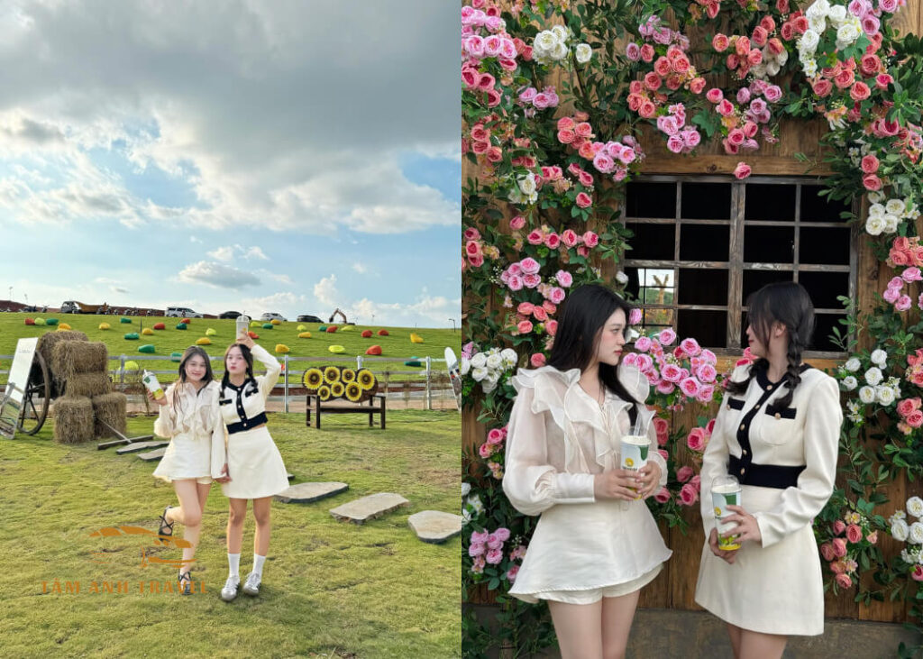 Review Sun Valley Farm - Tổ hợp nông trại, vườn thú, trò chơi