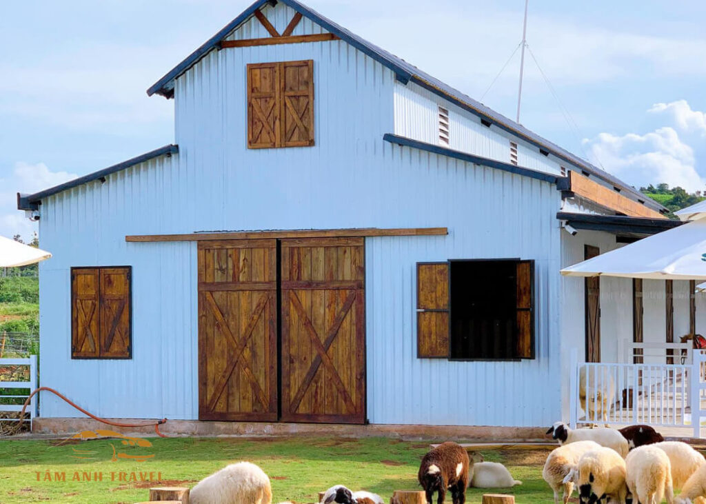 Review Sun Valley Farm - Tổ hợp nông trại, vườn thú, trò chơi
