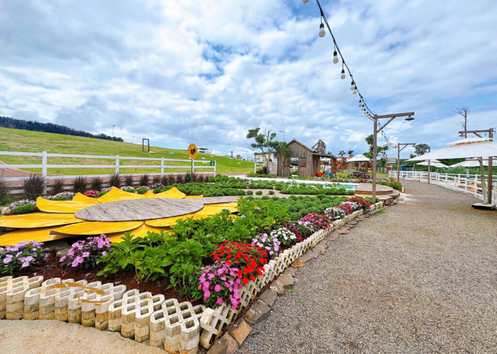 Review Sun Valley Farm - Tổ hợp nông trại, vườn thú, trò chơi