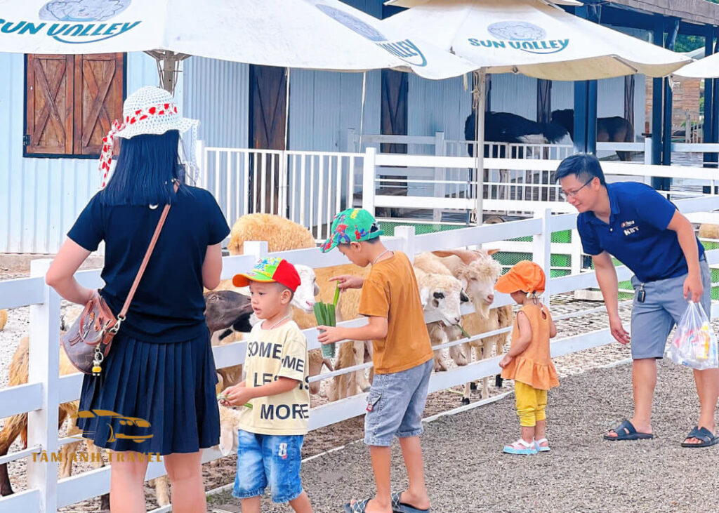 Review Sun Valley Farm - Tổ hợp nông trại, vườn thú, trò chơi