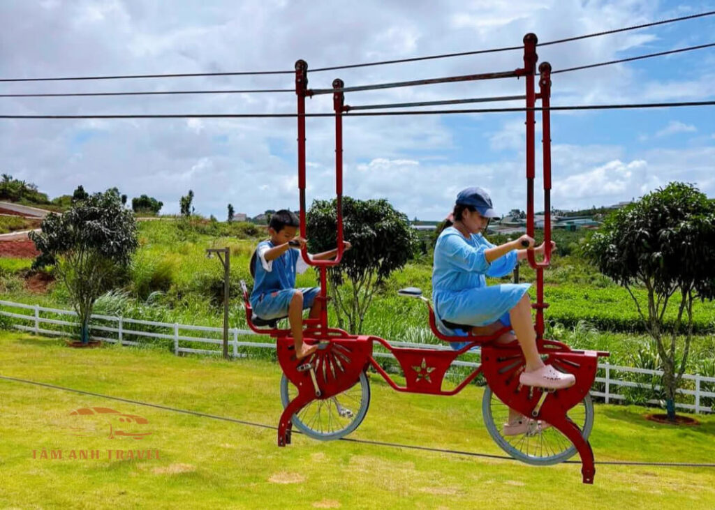 Review Sun Valley Farm - Tổ hợp nông trại, vườn thú, trò chơi