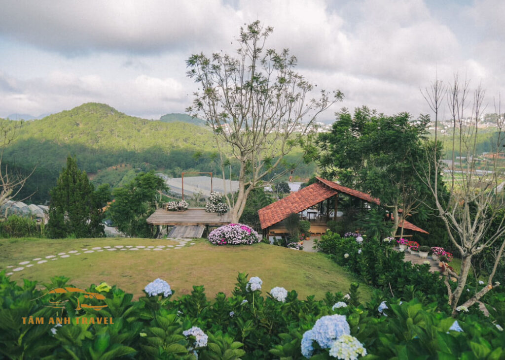 Tiệm cà phê Dốc Thị - Địa điểm check in siêu đẹp ở Đà Lạt