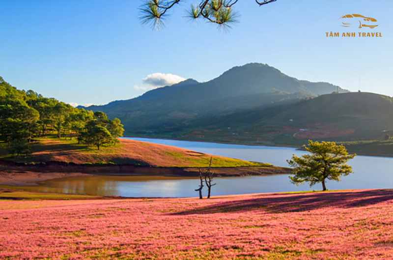 Hồ Suối Vàng và Đồi Cỏ Hồng
