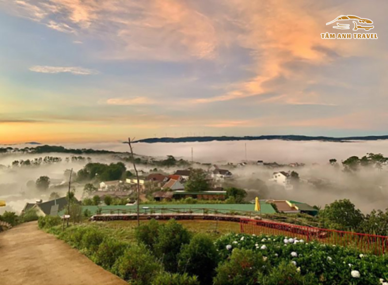 Săn mây Đà Lạt - Đồi Mây