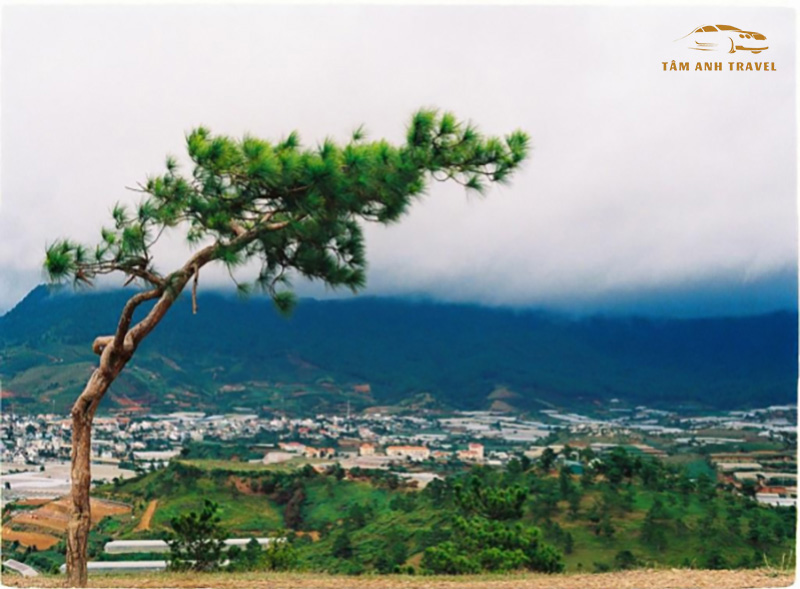 Săn mây Đà Lạt đồi Thiên Phúc Đức