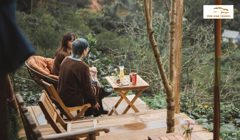 The Forrest Cafe Đà Lạt