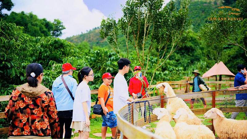 Vườn thú Mini tại The God Valley Đà Lạt