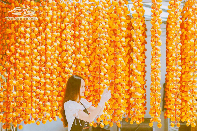 Check-in Vườn hồng Lê Vân Đà Lạt