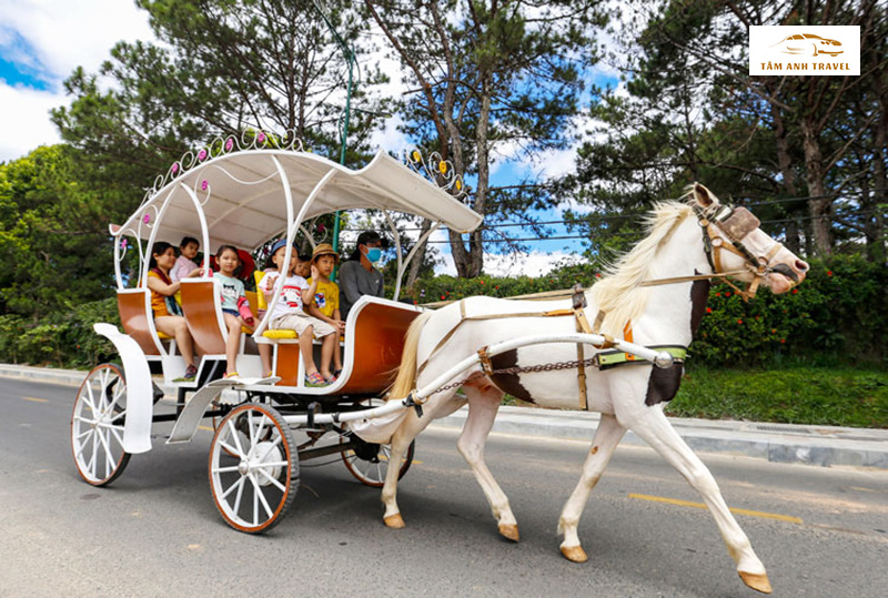 Đi xe ngựa Hồ Xuân Hương Đà Lạt