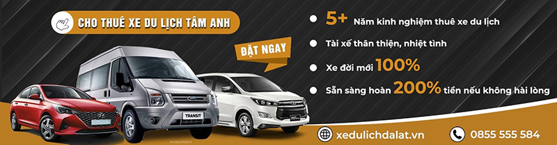 Dịch vụ xe Đà Lạt - Tâm Anh Travel