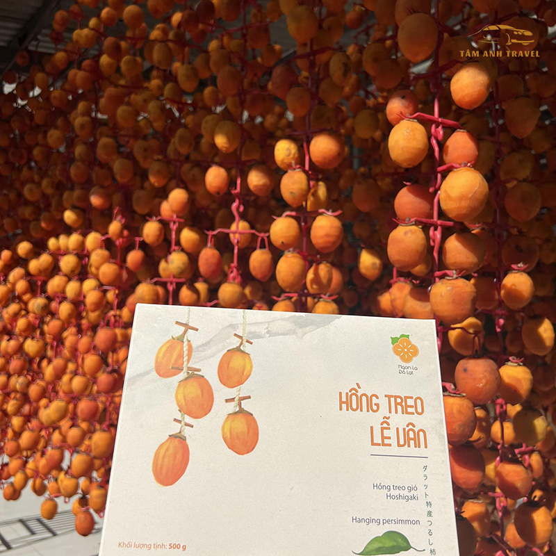 Hồng treo gió Lê Vân Đà Lạt