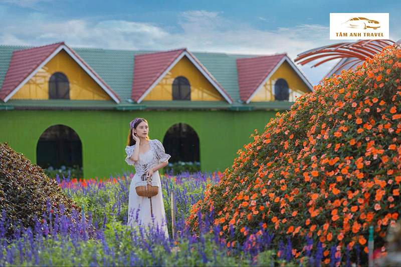 Không gian check in Làng hoa Vạn Thành Đà Lạt