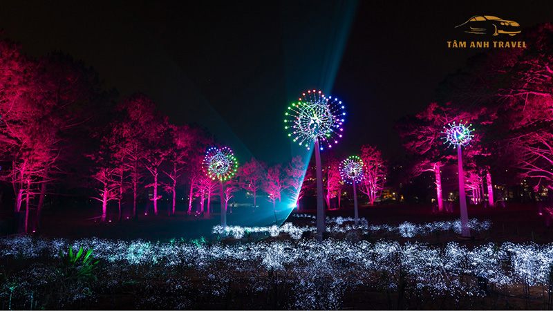 Khu rừng ánh sáng Delight Park Đà lạt