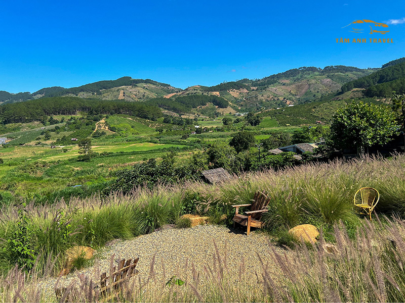 Mongo Land Đà Lạt