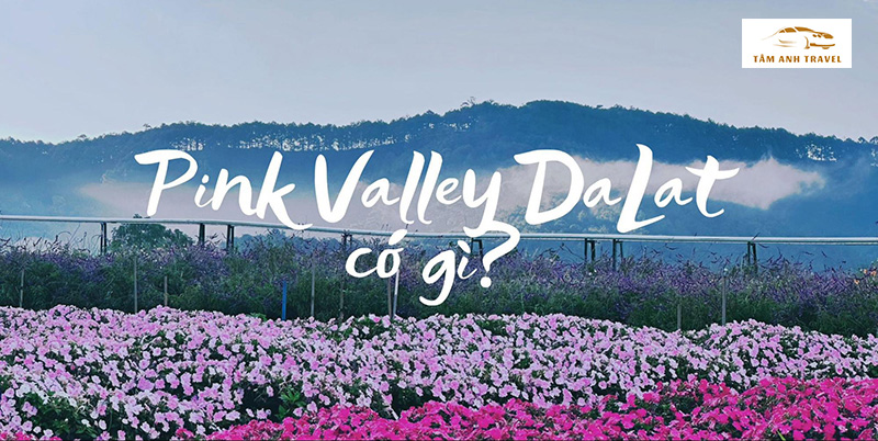 Pink Valley Đà Lạt có gì?