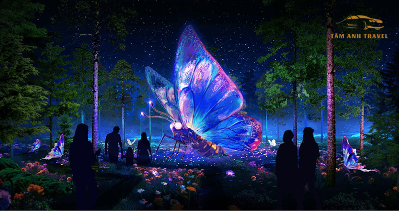 Tour ánh sáng Delight Park Đà Lạt