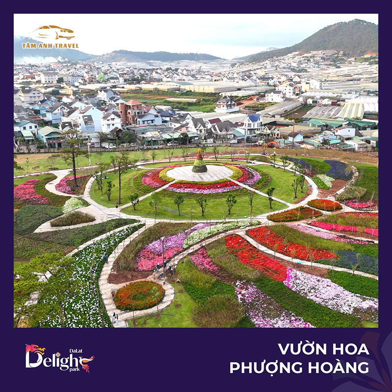 Trải nghiệm công viên ánh sáng Đà Lạt