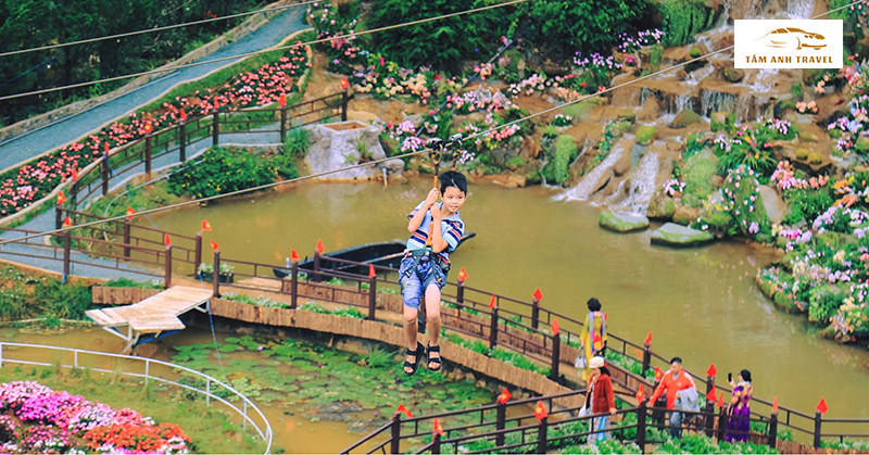 Trượt Zipline tại Pink Valley Đà Lạt