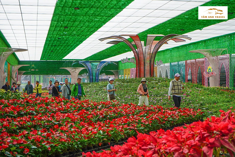 Vườn hoa Vạn Thanh Đà