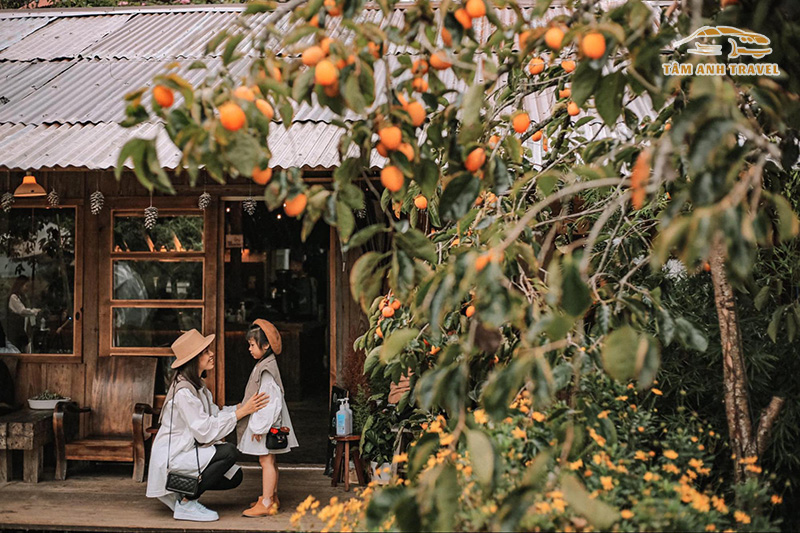 Vườn Hồng Lê Vân Đà Lạt