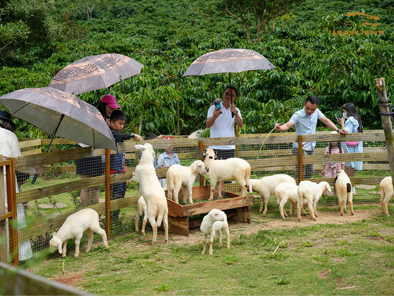 Vườn thú ở The God Valley Đà Lạt