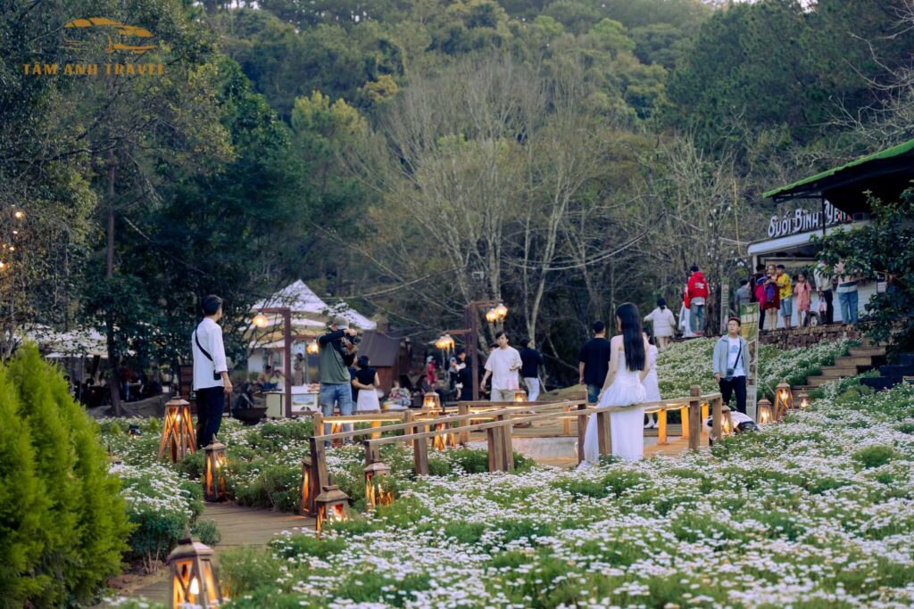 cà phê suối bình yên