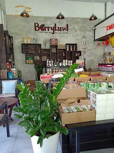 mứt đà lạt