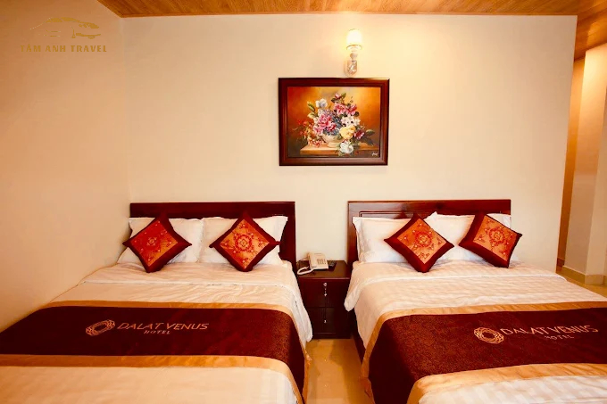 khách sạn giá rẻ đà lạt