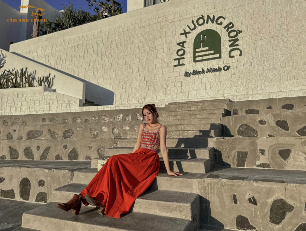 hoa xương rồng - quán cà phê trung tâm tp đà lạt