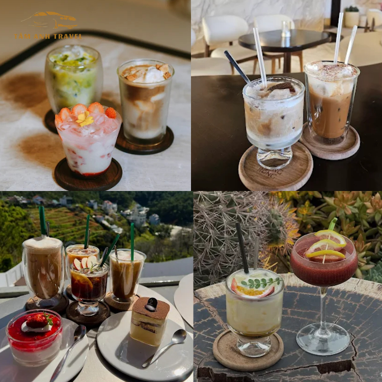 hoa xương rồng - quán cà phê trung tâm tp đà lạt