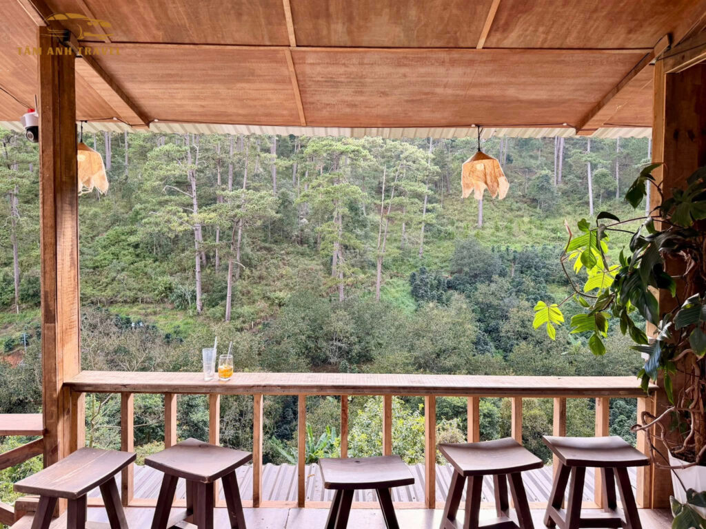 lưng chừng cafe đà lạt