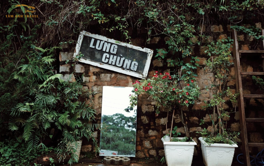 lưng chừng cafe đà lạt