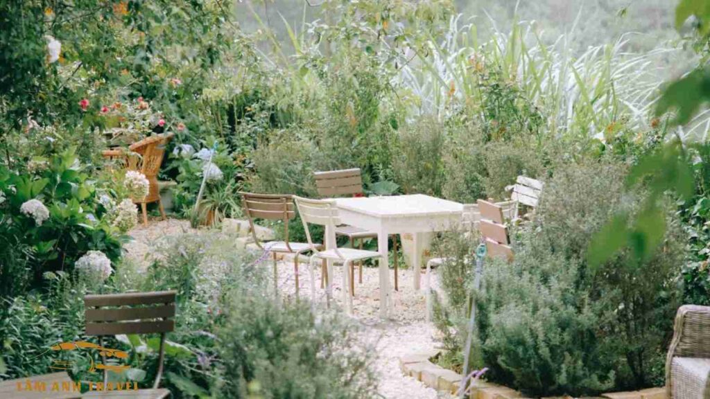 Không gian thiên nhiên của quán Cafe Khu vườn mùa hè