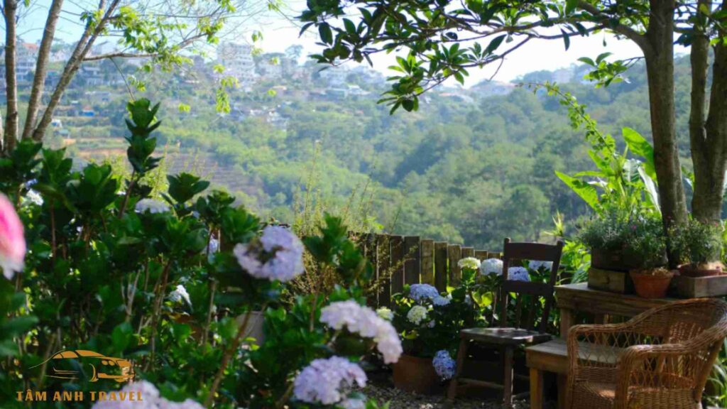View thiên nhiên của quán Cafe Khu vườn mùa hè