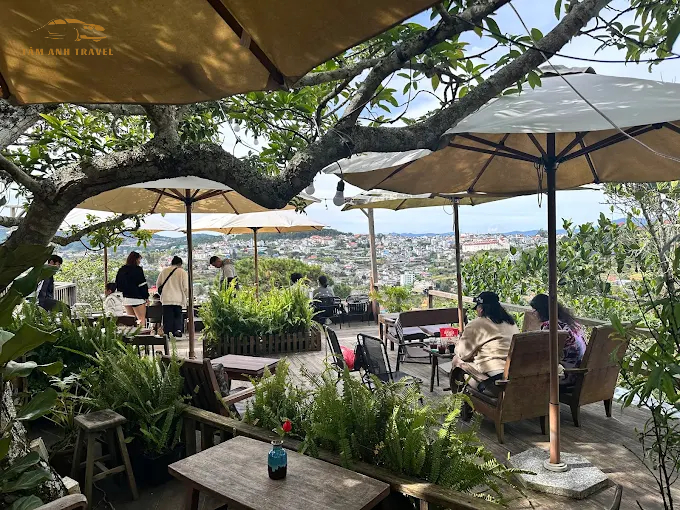 tiệm cà phê góc của tùng