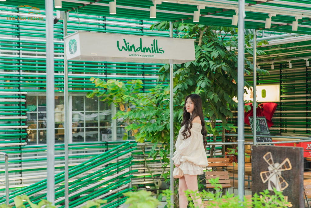 windmills coffee