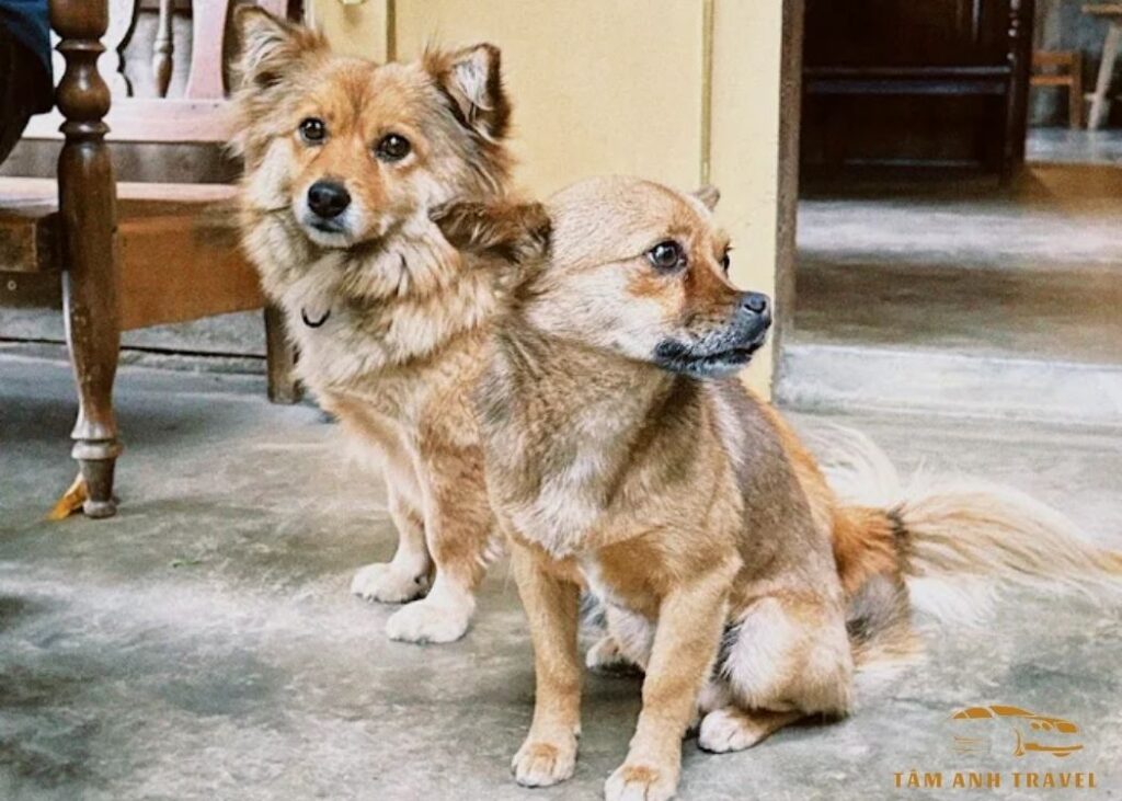 Tiệm cà phê Linh Đà Lạt