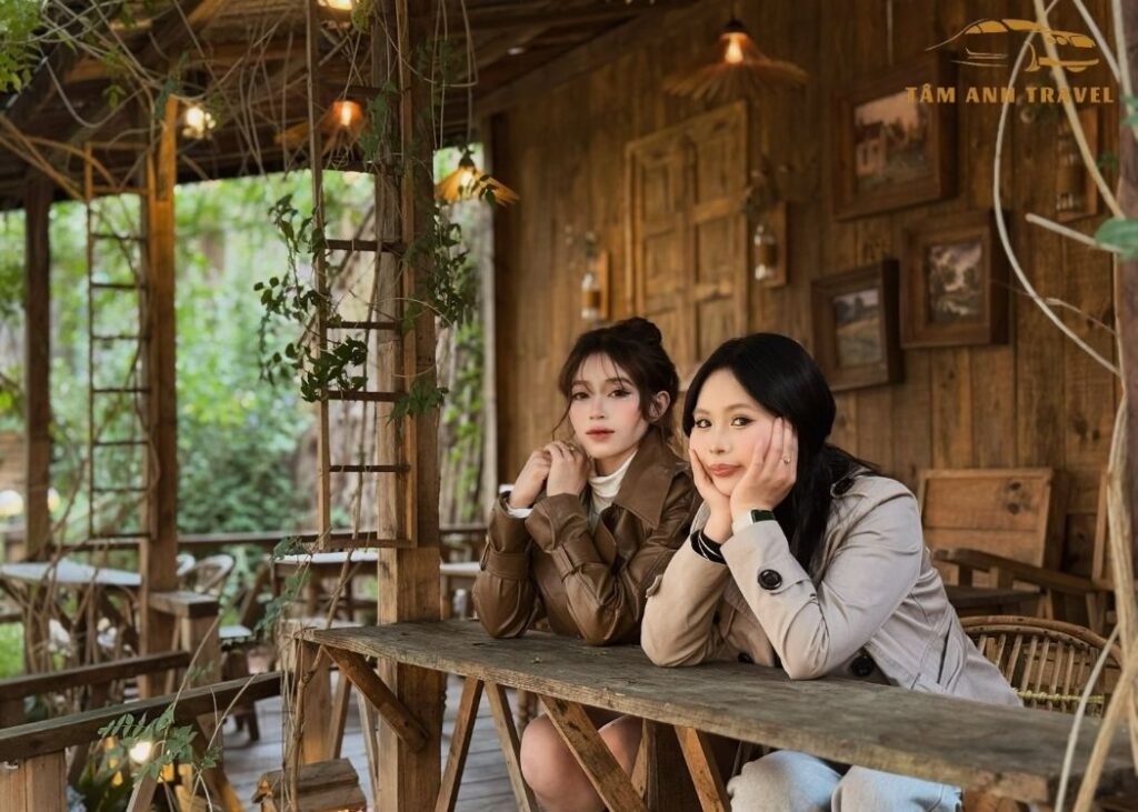 Chuyện của mơ coffee: 1001 góc check-in đẹp như cổ tích – view rừng thông