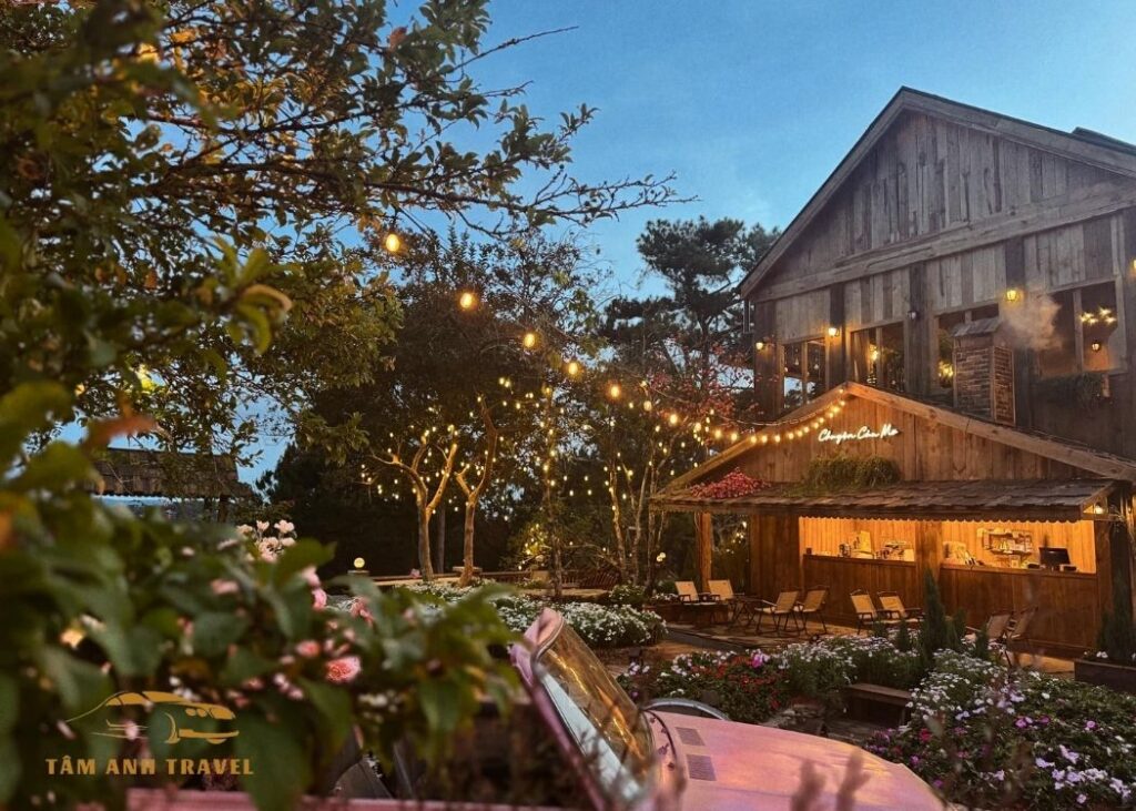 Chuyện của mơ coffee: 1001 góc check-in đẹp như cổ tích – view rừng thông